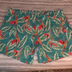 Chubbies Swim trunks